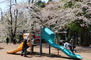 公園の遊具で遊ぶ子どもたちの画像