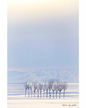 雲間から照らす優しい光と、雪のはさ木の画像