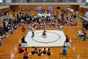 体育館内に2か所設置された土俵と周りを囲む観客の画像