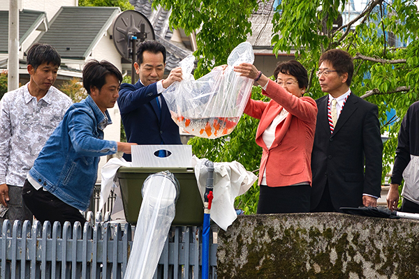 錦鯉を放流する宮崎市長と大川栃木市長の画像
