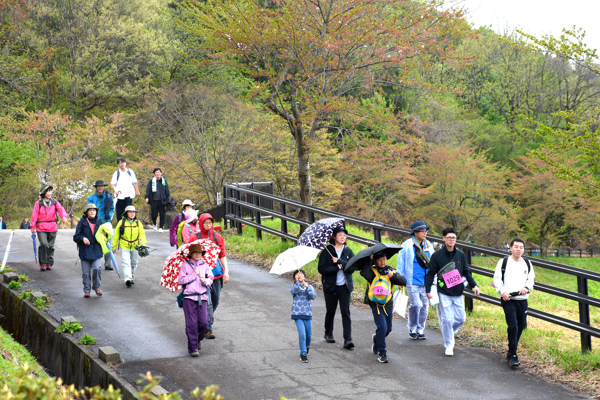 山本山でウォーキングする参加者の画像