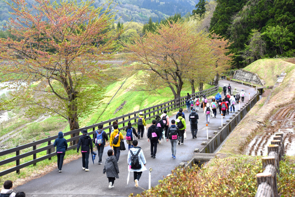 山本山でウォーキングする参加者の後ろ姿の画像