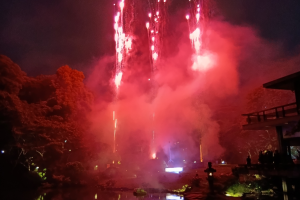 ナショナル・デイを祝って打ち上げた花火の写真