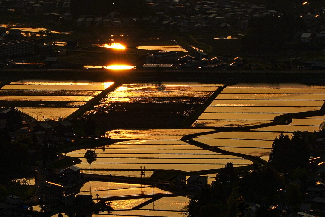 令和7年7月号のおぢフォトの画像