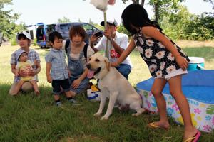 犬とふれあう子どもの画像